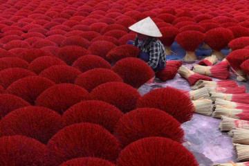 Crimson Trails of Saigon: Inside the Oldest Incense Village in Le Minh Xuan