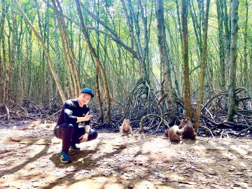 Can Gio mangrove forest Image 3