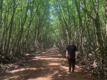 Can Gio mangrove forest Image 2