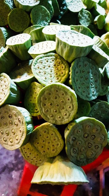 Biggest Wholesale Flower Market Image 8