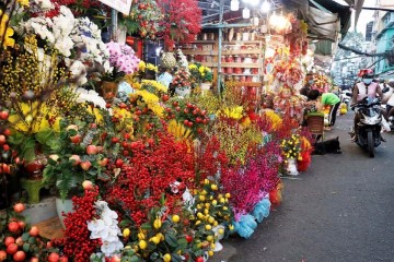 Biggest Wholesale Flower Market Image 13