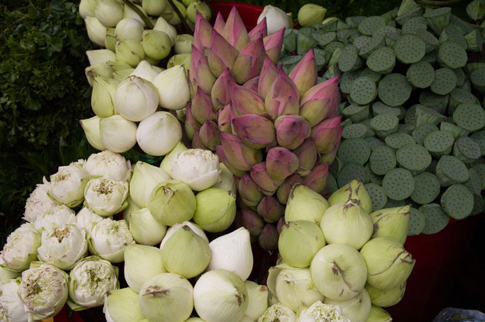 Pure lotuses in ho thi ky market