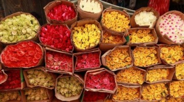 Biggest Wholesale Flower Market Image 16