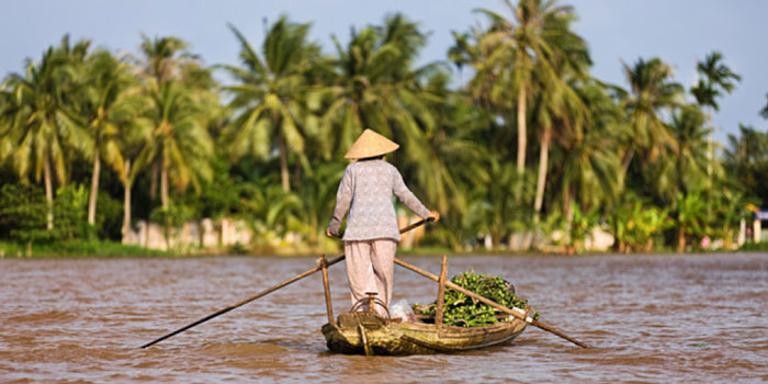 Mekong Delta